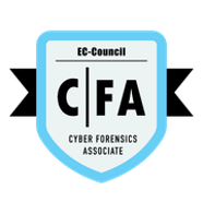 Cyber Forensics Associate