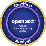 ArcSight ESM Analyst